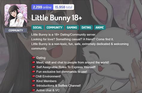 discord fap|Little Bunny 18+ .